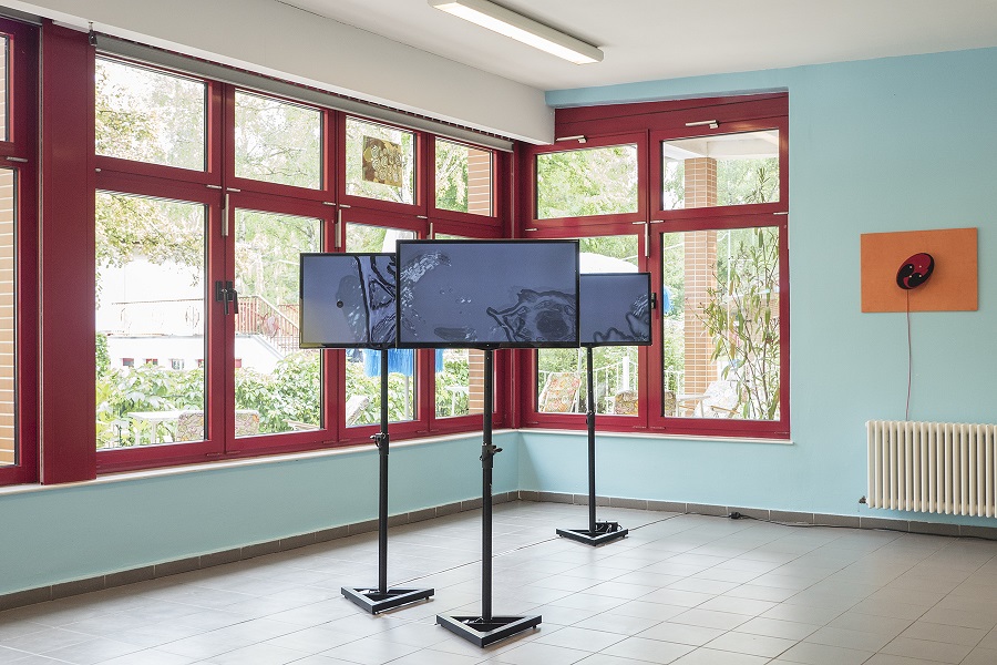 Ausstellungsansicht-Mujinga-Vorisek