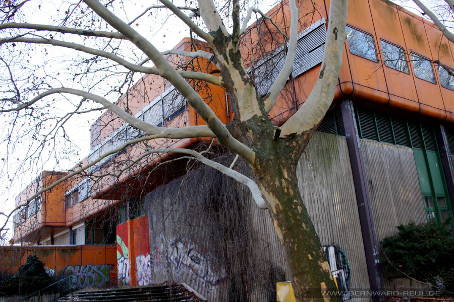 Das ehemalige Oberstufenzentrum in der Swinemünder Straße 80, Foto: Bernward Reul