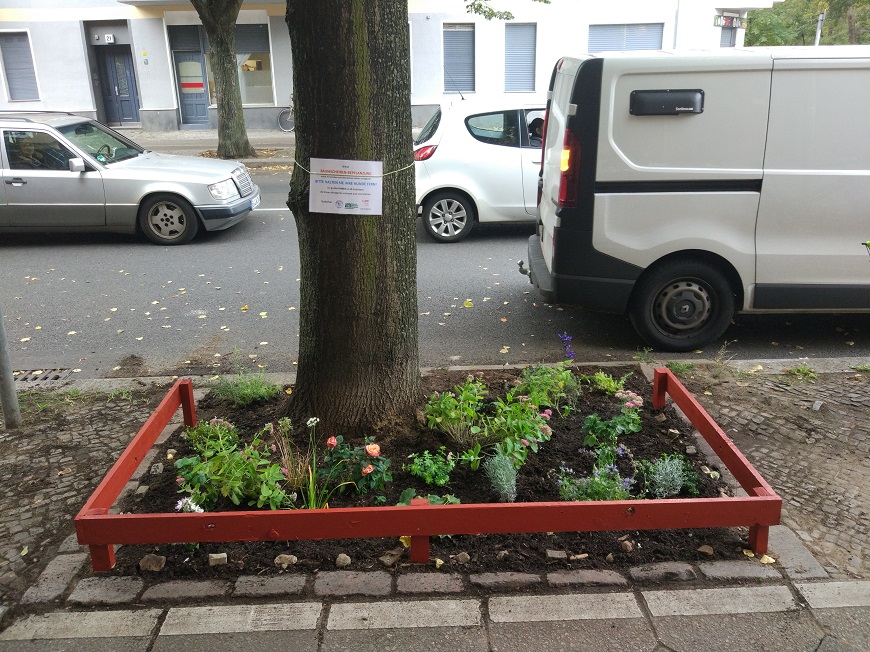 So sehen Baumscheiben aus, wenn Alfa Conradt etwas mit ihnen zu tun hatte. Foto: Maike Brülls