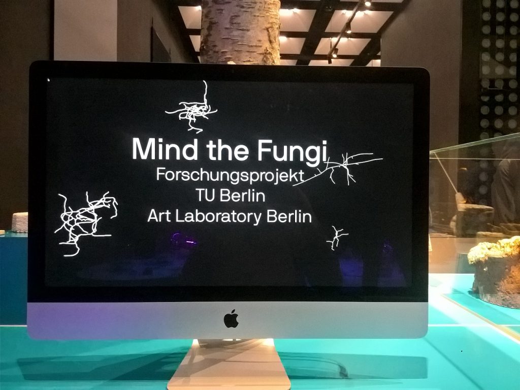 WP_20191017_15_55_06_Pro_kl