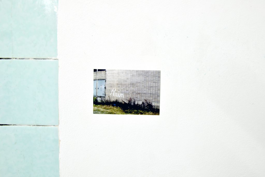 Fotografin: Ines Lechleitner, courtesy: after the butcher