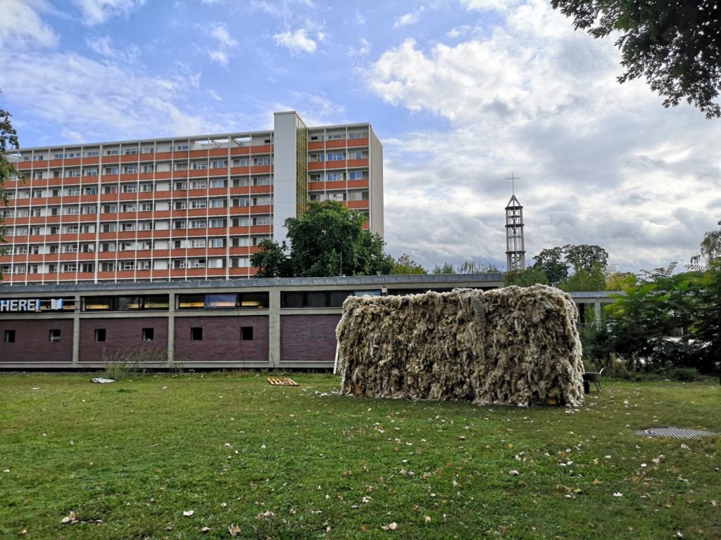 Object made of sheepskin on a lawn