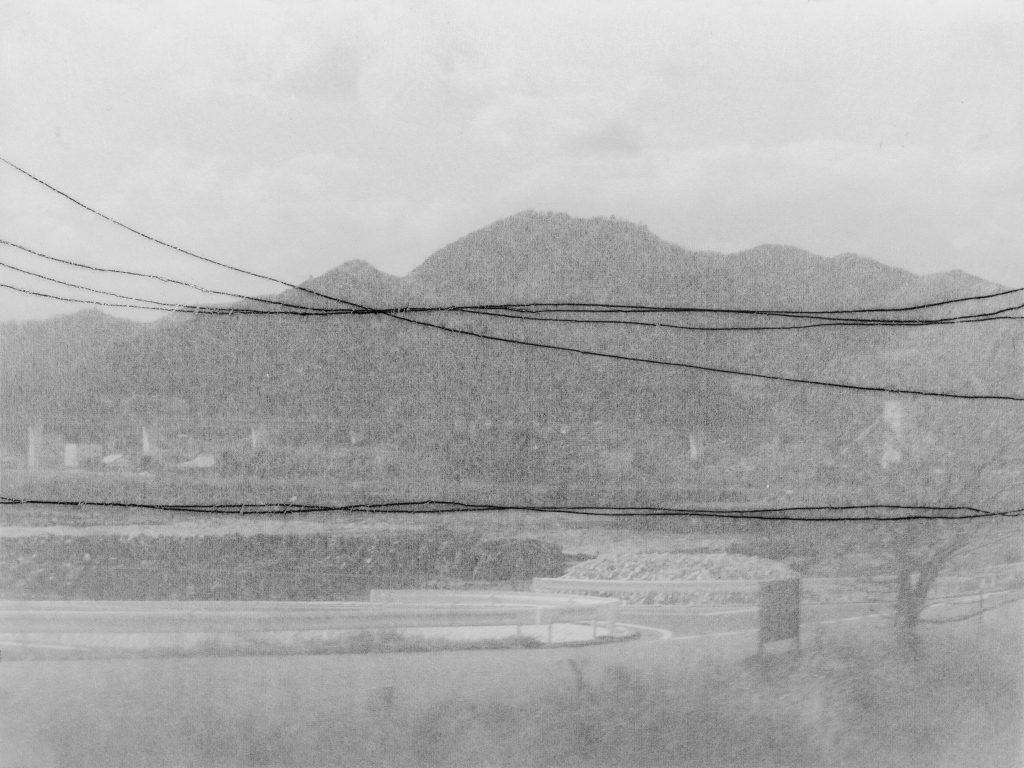 Hana Usui _Fukushima _2019_Copyright the artist and Courtesy Marcello Farabegoli Projects_(3)