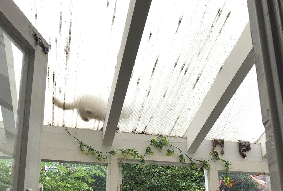 Foto © Svenja Viola Bungarten