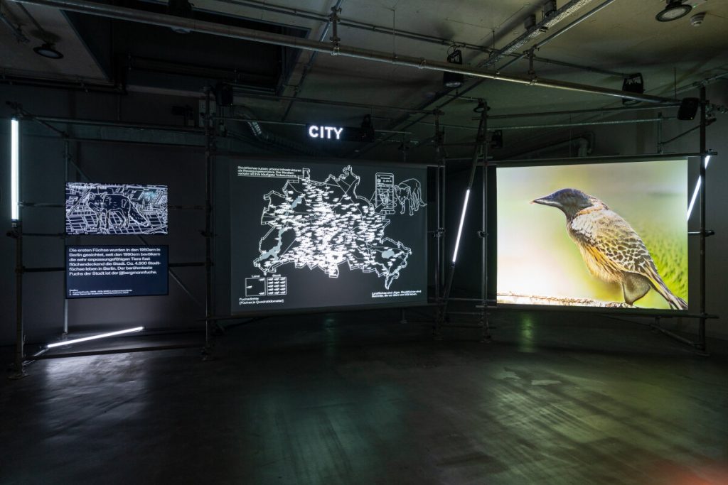 mapping the post human