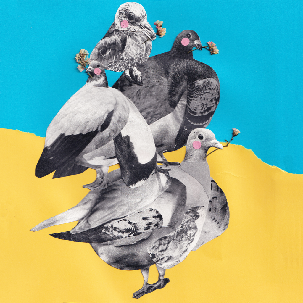 jwrvms073-golubi-Maryna-Siliakova