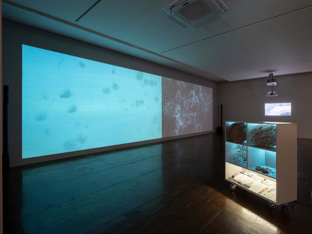 2023, THE TUMBLE, photo by SeMA (2)