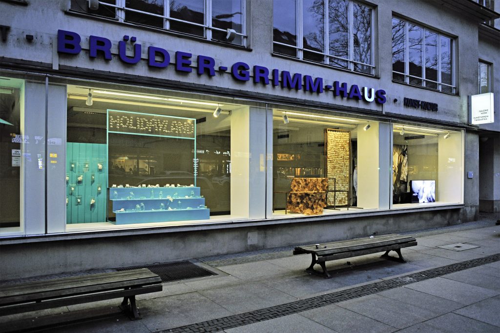 Fensterfront in Abendstimmung, an der Wand darüber steht