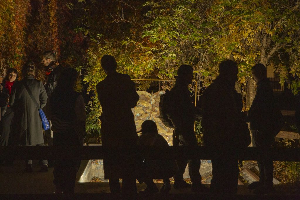 Shilhouettes of people in front of a brightly lit installation