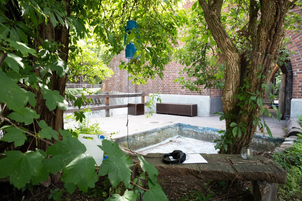 BZ_2025_ThisTooIsAWayof_4_CleoWächter_Web-14