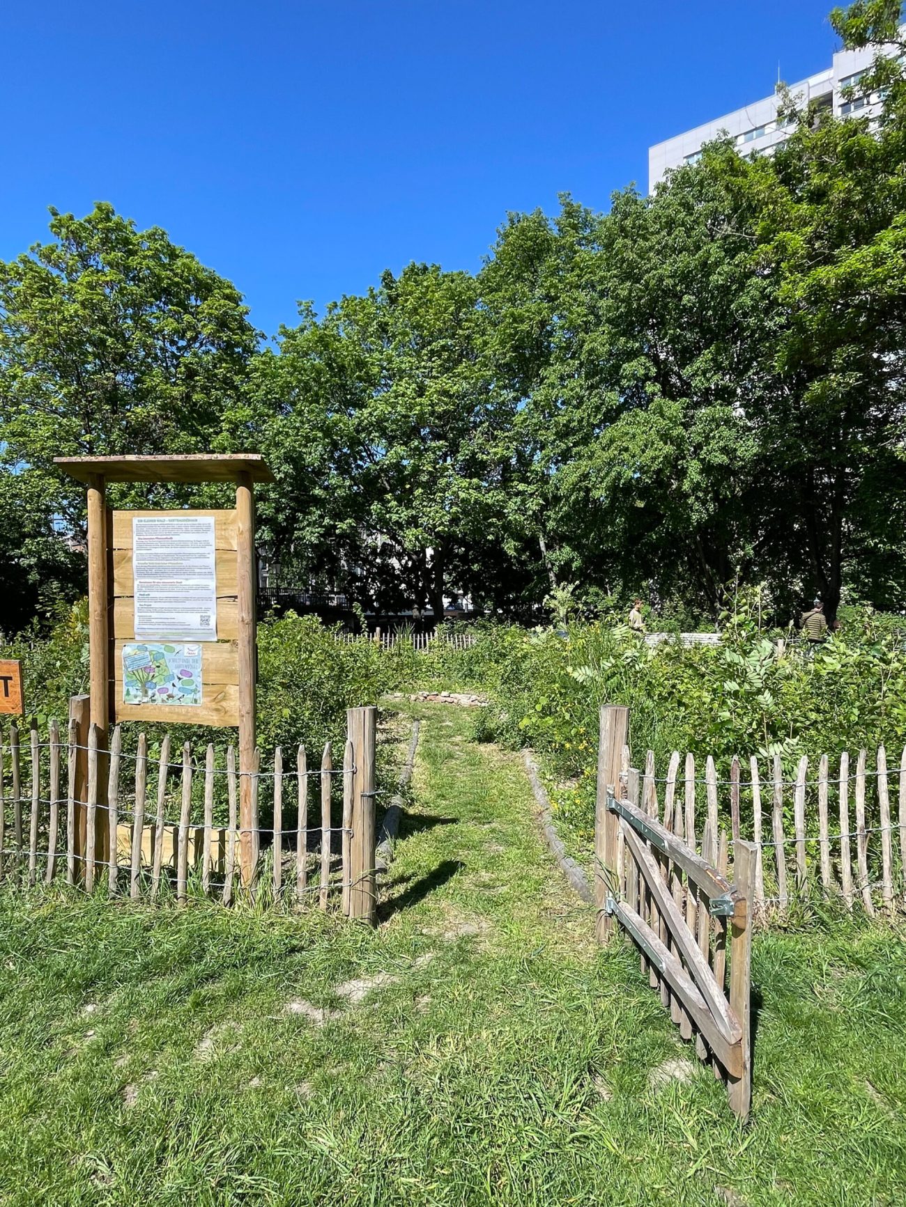 Foto: Christof Zwiener