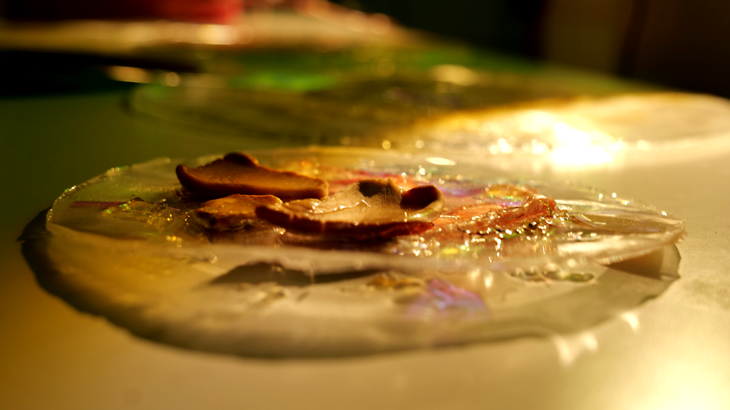 Schallplatte aus Biokunststoff von ToC