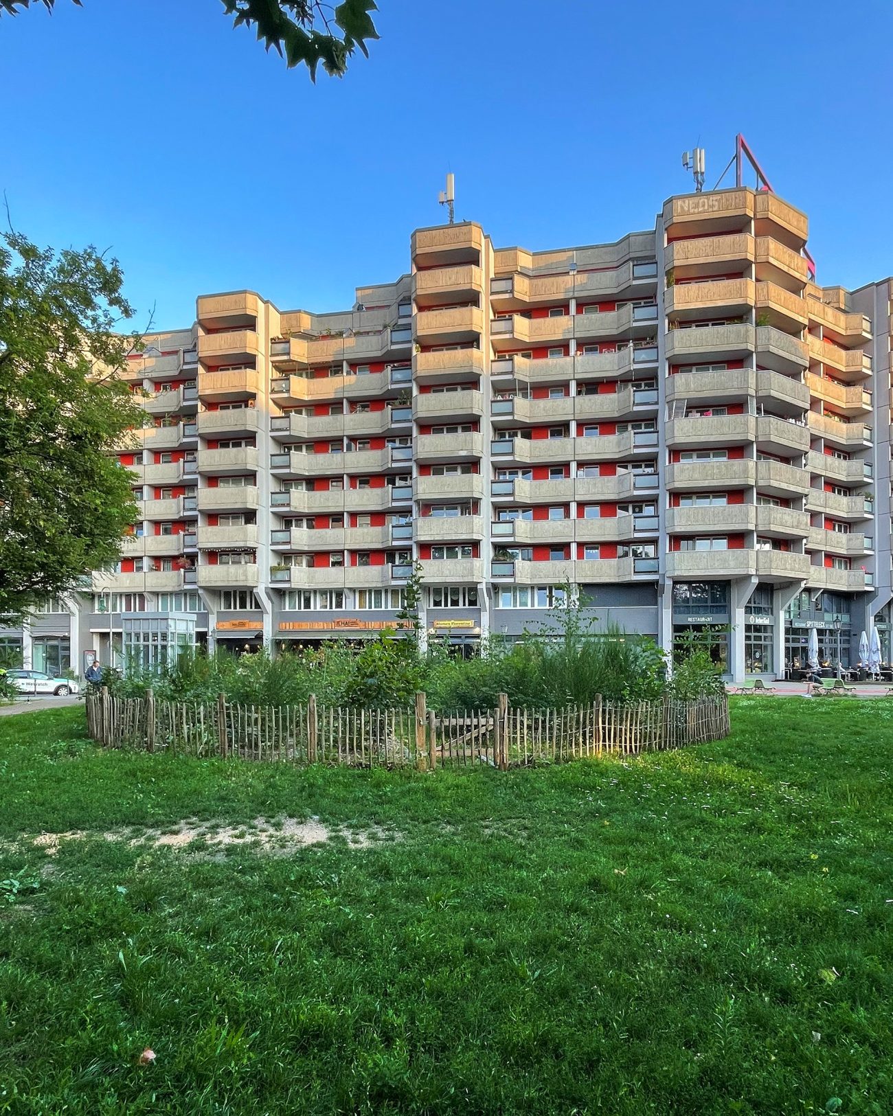 Ein kleiner Wald vor Hochhäusern