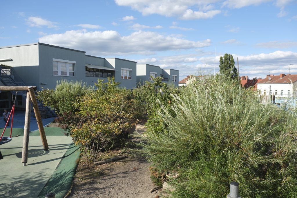Ein Dachgarten in der Sonne, links eine Schaukel, rechts grüne Sträucher.