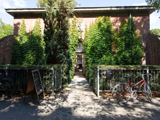 Weirder, Taller, Uglier, Louder – Feral Possible, around Karl-Marx-Straße and Carrer Cobalt