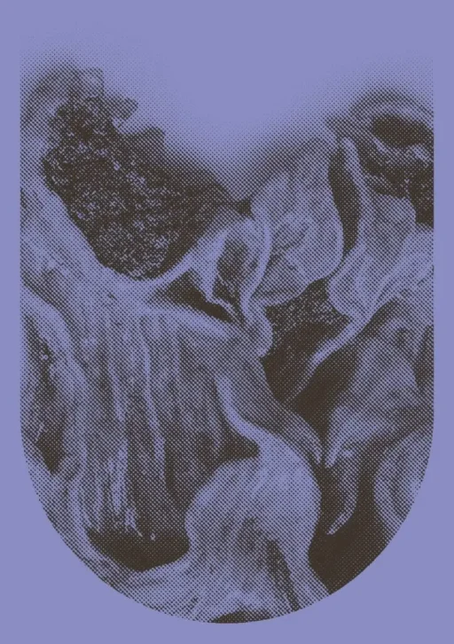 Grafik: Nora Keilig